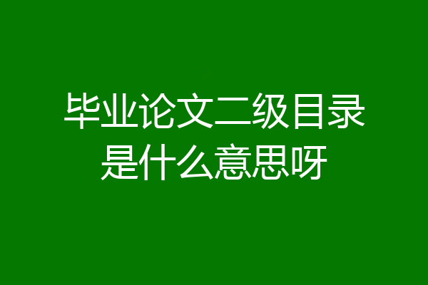 毕业论文二级目录是什么意思呀