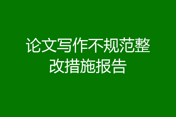论文写作不规范整改措施报告