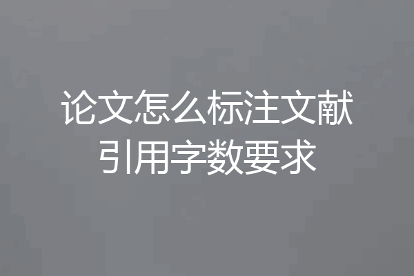 论文怎么标注文献引用字数要求