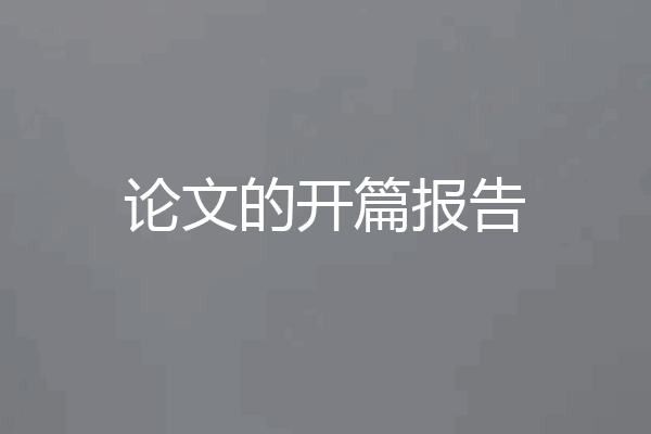 论文的开篇报告