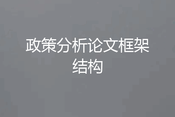 政策分析论文框架结构