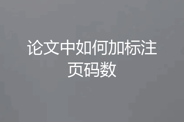 论文中如何加标注页码数
