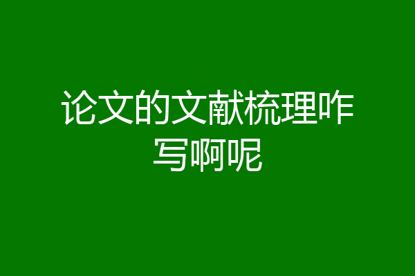 论文的文献梳理咋写啊呢
