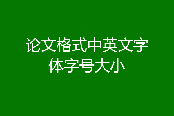 论文格式中英文字体字号大小