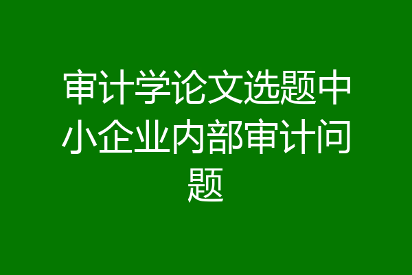 审计学论文选题中小企业内部审计问题