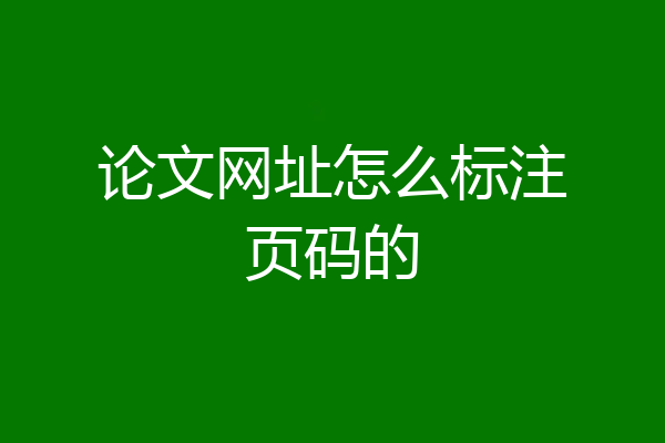 论文网址怎么标注页码的