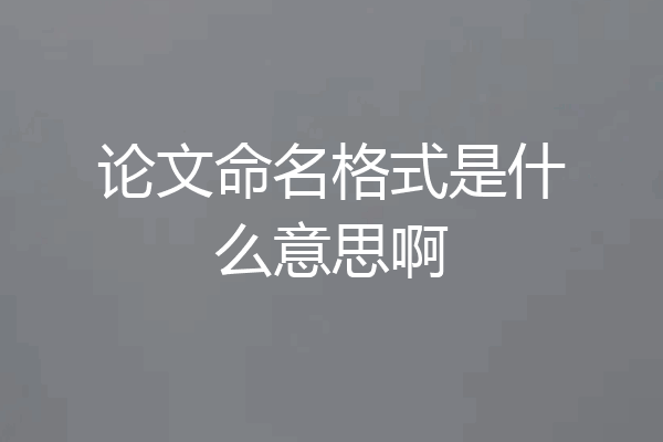 论文命名格式是什么意思啊