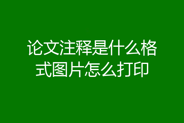 论文注释是什么格式图片怎么打印