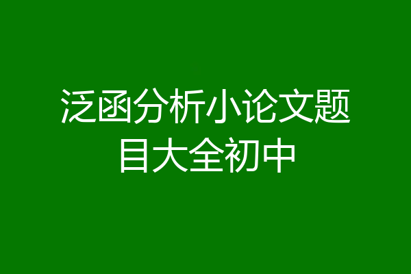 泛函分析小论文题目大全初中