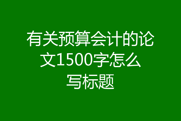 有关预算会计的论文1500字怎么写标题