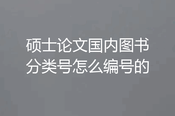 硕士论文国内图书分类号怎么编号的