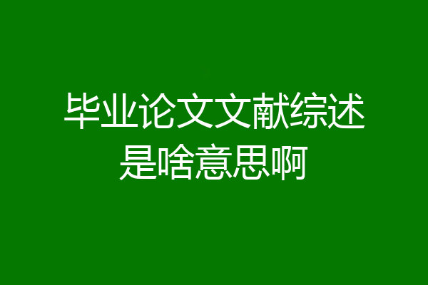 毕业论文文献综述是啥意思啊