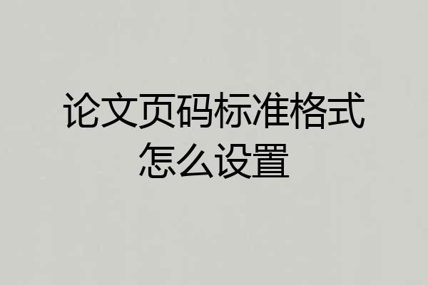 论文页码标准格式怎么设置