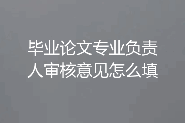 毕业论文专业负责人审核意见怎么填