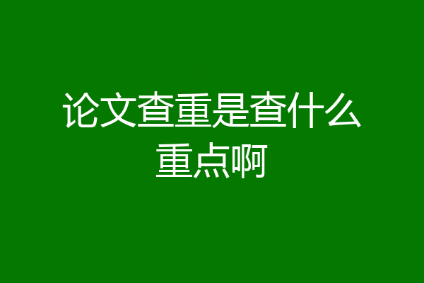 论文查重是查什么重点啊