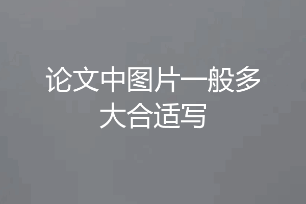论文中图片一般多大合适写
