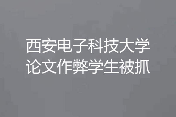 西安电子科技大学论文作弊学生被抓