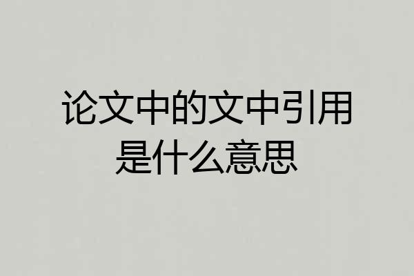 论文中的文中引用是什么意思