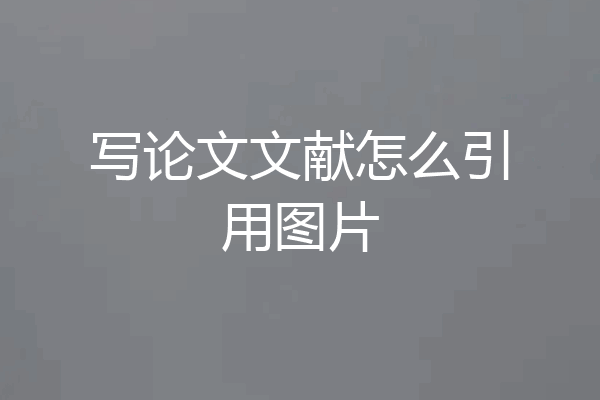 写论文文献怎么引用图片