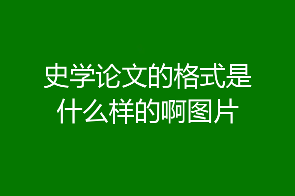 史学论文的格式是什么样的啊图片