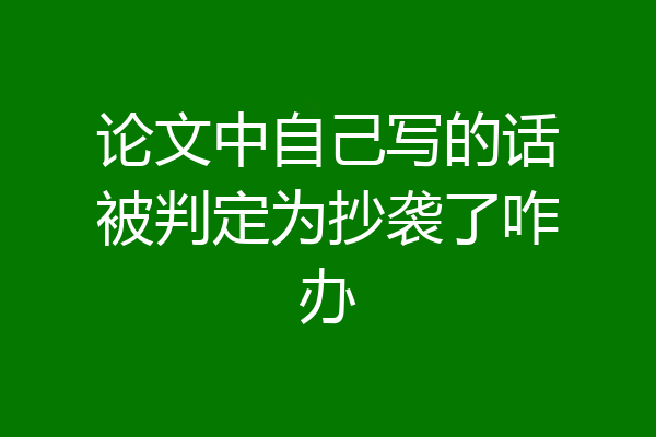 论文中自己写的话被判定为抄袭了咋办