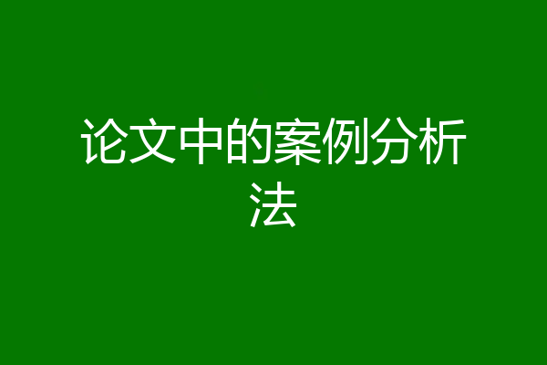 论文中的案例分析法