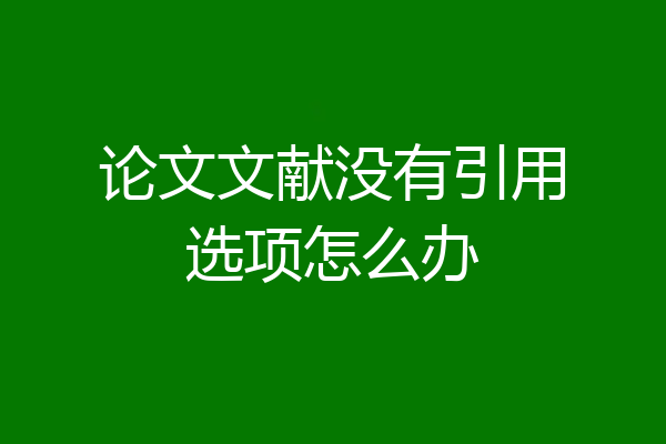 论文文献没有引用选项怎么办