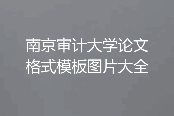 南京审计大学论文格式模板图片大全