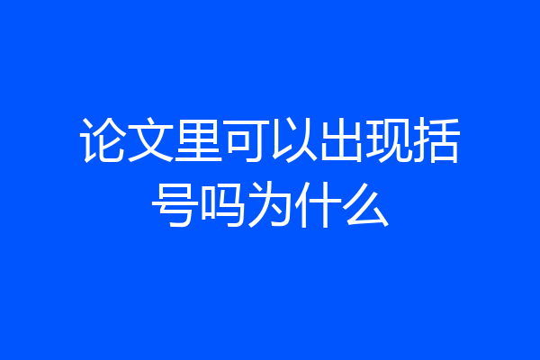 论文里可以出现括号吗为什么