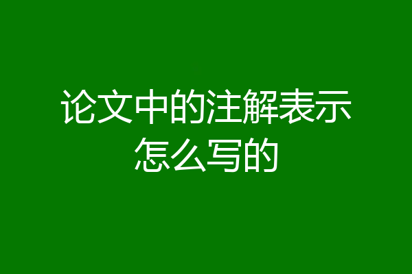 论文中的注解表示怎么写的
