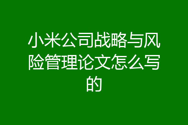 小米公司战略与风险管理论文怎么写的