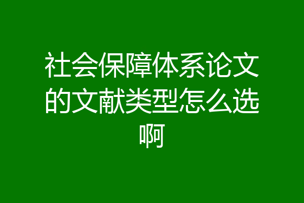 社会保障体系论文的文献类型怎么选啊
