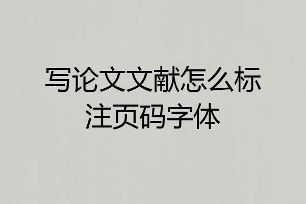 写论文文献怎么标注页码字体