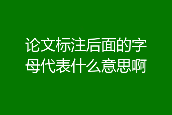 论文标注后面的字母代表什么意思啊