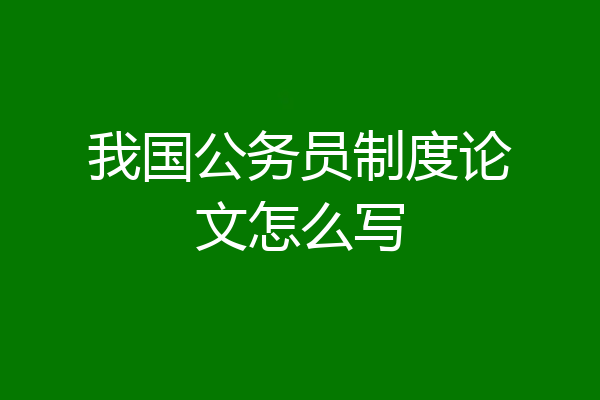 我国公务员制度论文怎么写