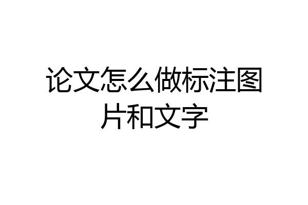 论文怎么做标注图片和文字