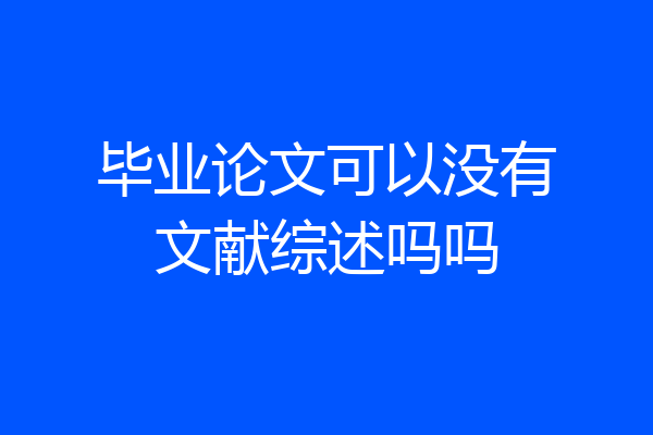 毕业论文可以没有文献综述吗吗