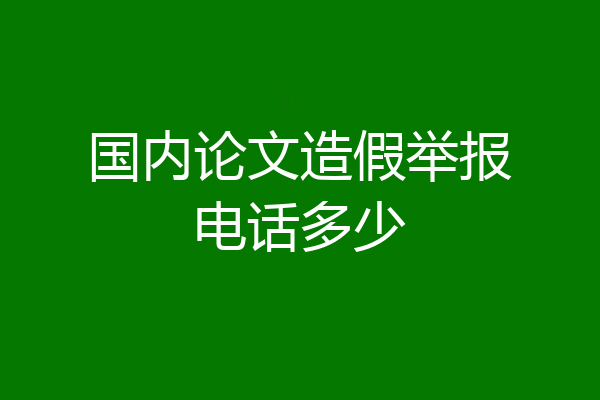 国内论文造假举报电话多少