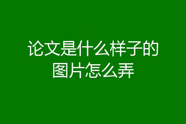 论文是什么样子的图片怎么弄