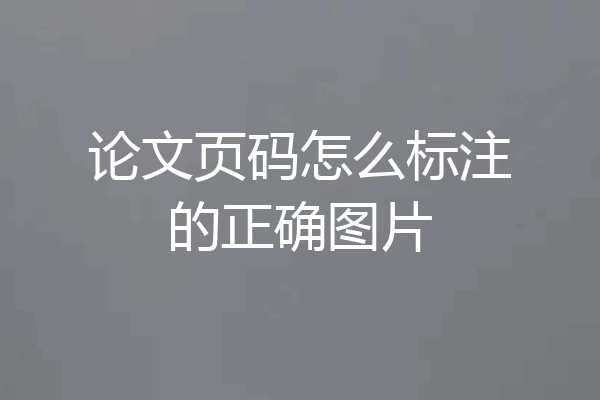论文页码怎么标注的正确图片