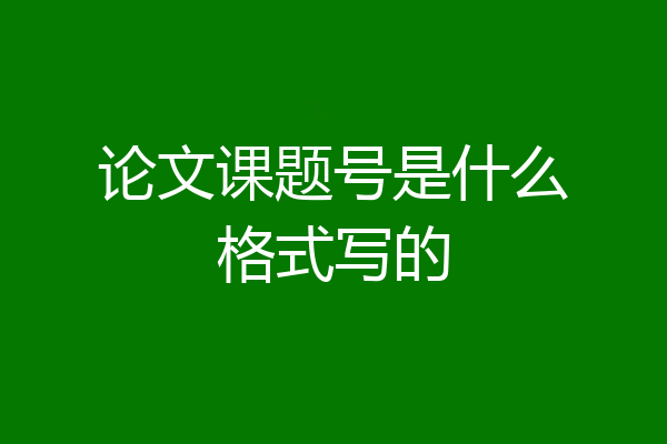 论文课题号是什么格式写的