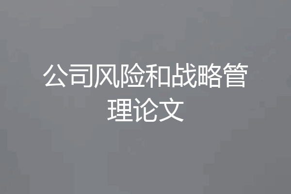 公司风险和战略管理论文