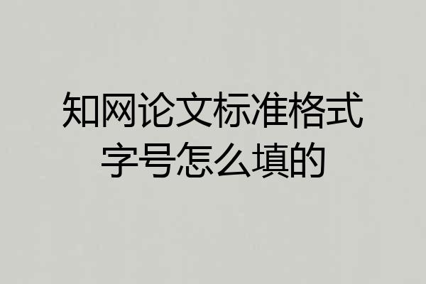 知网论文标准格式字号怎么填的