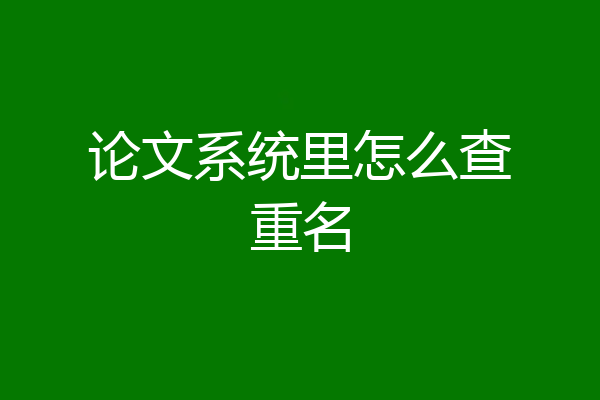 论文系统里怎么查重名
