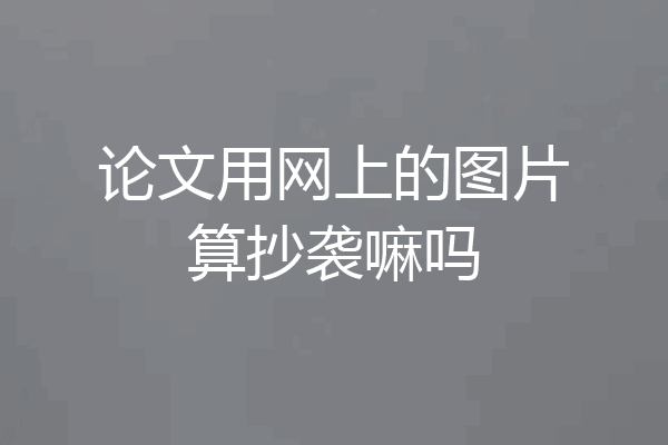 论文用网上的图片算抄袭嘛吗