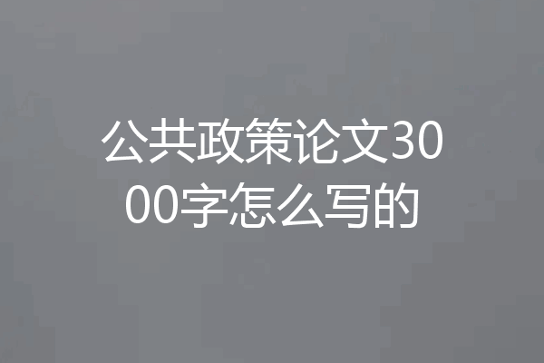 公共政策论文3000字怎么写的