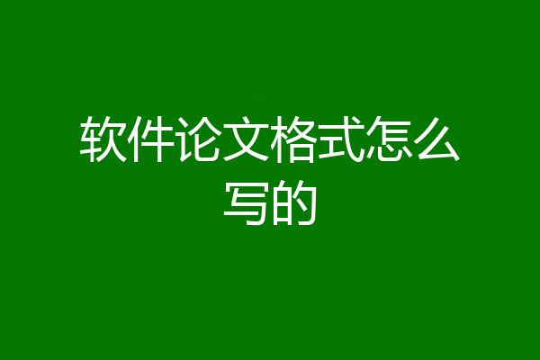 软件论文格式怎么写的