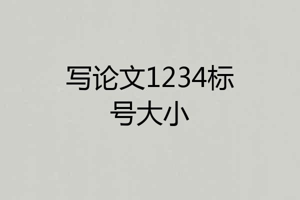 写论文1234标号大小