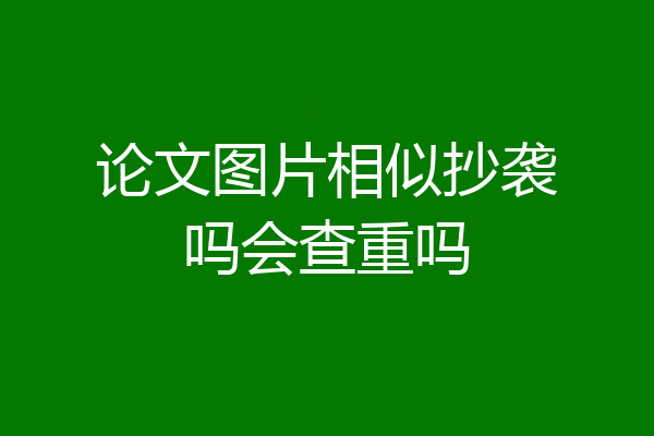 论文图片相似抄袭吗会查重吗