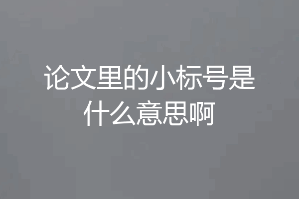 论文里的小标号是什么意思啊